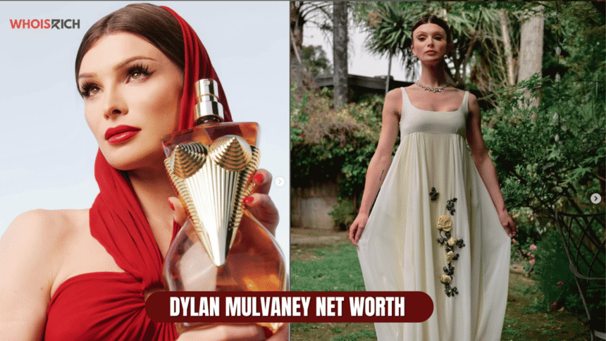 dylan mulvaney net worth