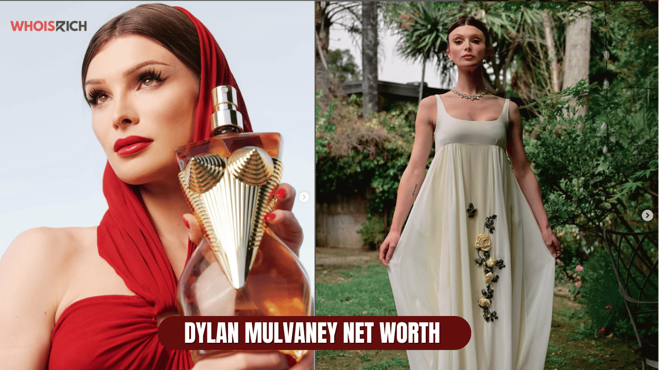 dylan mulvaney net worth